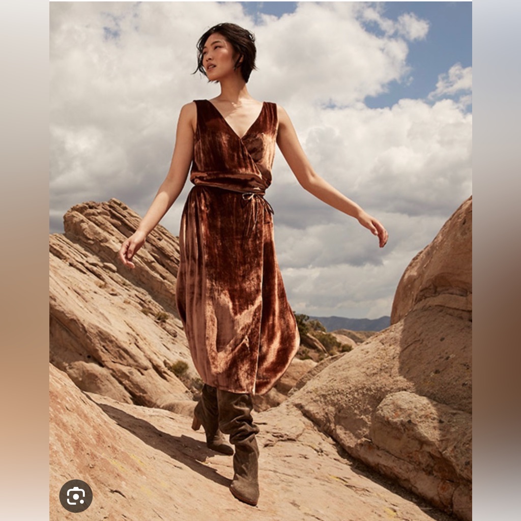Vince Panne Velvet Dress